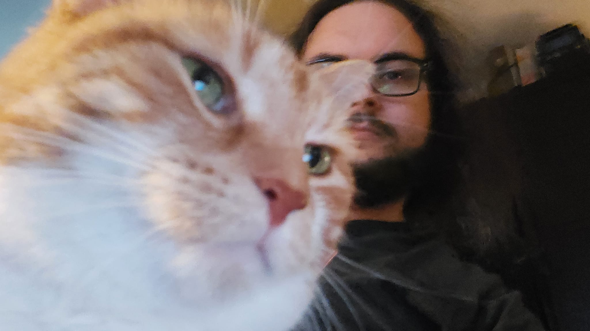 An orange cat is with a man with long dark hair